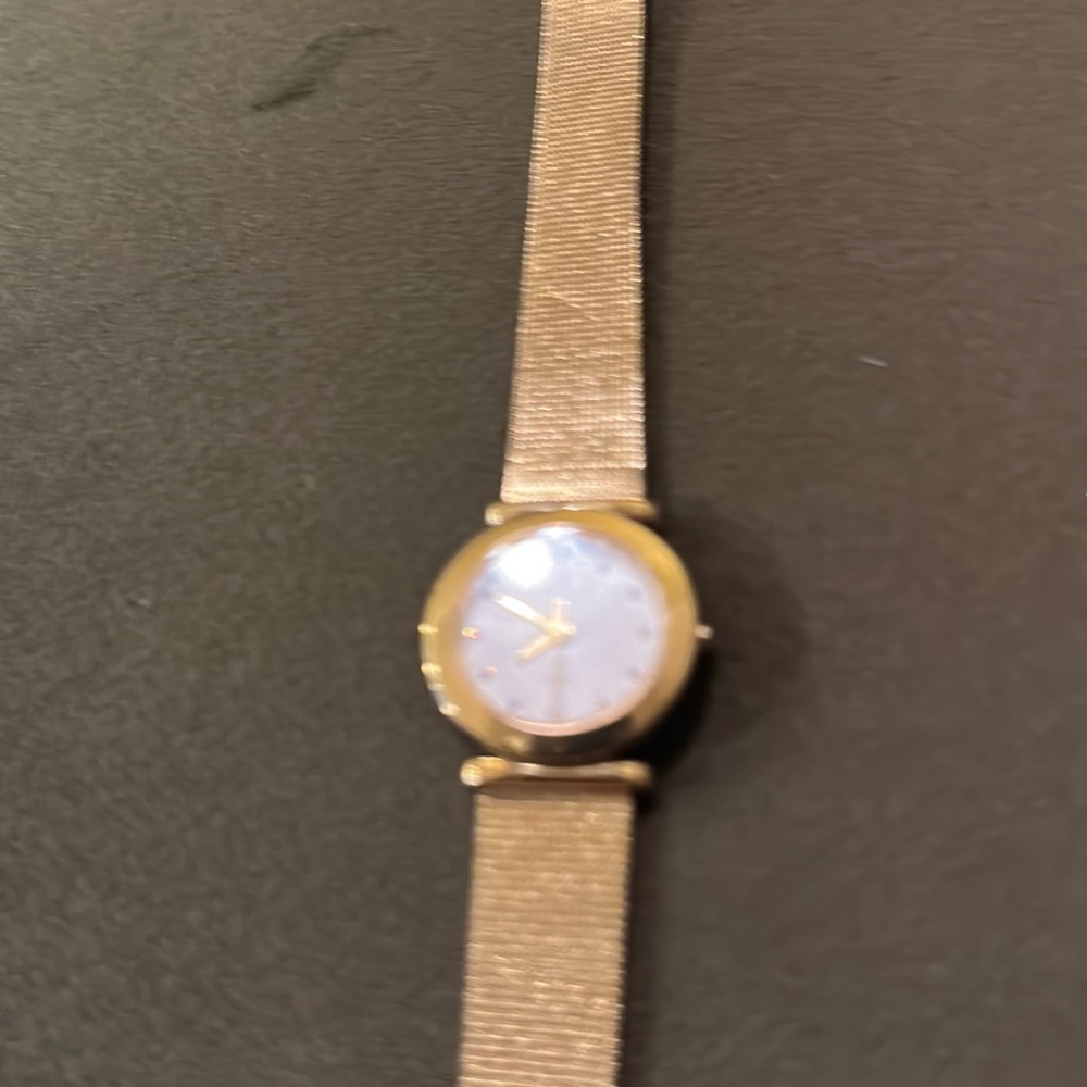 Ladies Skagen watch